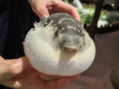 -肆月河豚·淮扬菜·湘菜(华天店)