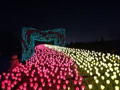 -长春公园(普阳街道)