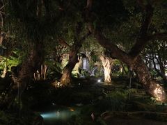 -Chom Cafe and Restaurant