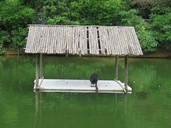 -广东茂名森林公园