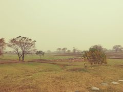 -盘龙城国家考古遗址公园