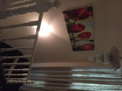 唯伊美专业女子瘦身连锁机构(曹家渡店)-唯伊美塑身美养连锁