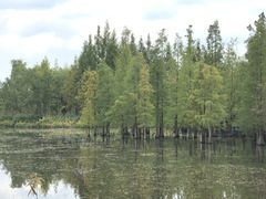 -白鹭湾湿地公园