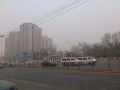 -紫竹院公园冰场
