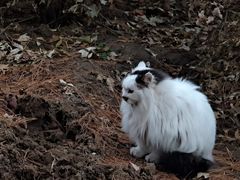 -大钟寺古钟博物馆