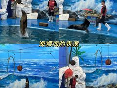 -左海海底世界