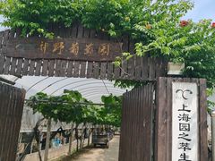 -嘉北郊野公园