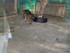 -西安秦岭野生动物园