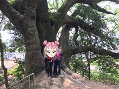 -宜春明月山维景国际温泉度假酒店