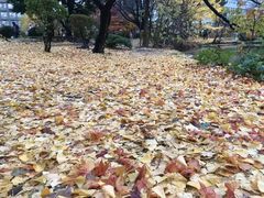 -北海道厅旧本厅舍(旧本庁舎)