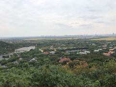 -上海佘山国家森林公园西佘山园