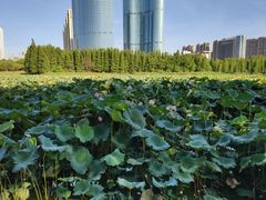 -艾溪湖湿地公园