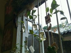 -大王油茶(磁器口店)