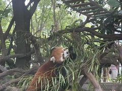 -无锡动物园·太湖欢乐园