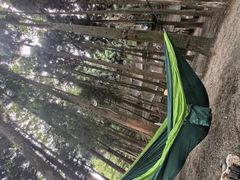 -武陵山森林公园