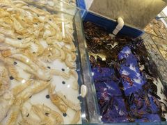 -川骄海鲜自助(河东店)