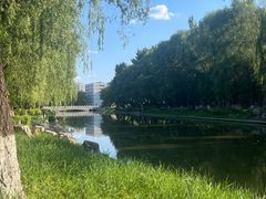 -北陵公园