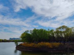 -大兴滨河森林公园