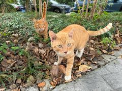 -华东理工大学徐汇校区第一食堂