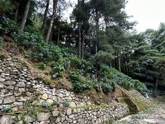 -寂照庵