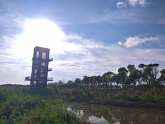 -春花秋色城市公园