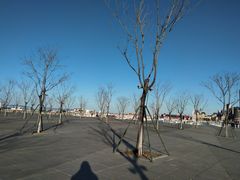 -东港音乐喷泉广场