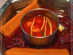 双人锅鸳鸯-蜀九香火锅(九眼桥店)