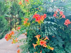 -不止轰趴独栋别墅户外烧烤(颐西庄园店)