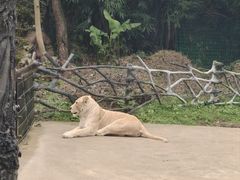 -贵州森林野生动物园