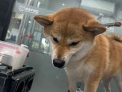 -宠物家(长阳店)