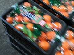 -菜园坝水果市场