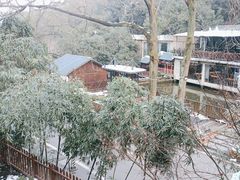 -天怡·鱼工厂(梅溪湖店)