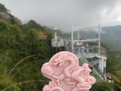 -亚龙湾热带天堂森林公园