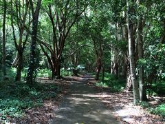 -热带雨林自然公园