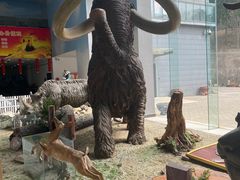 -中国第四纪冰川遗迹陈列馆