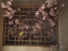 -野妹火锅(布吉店)
