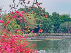 -东山湖公园