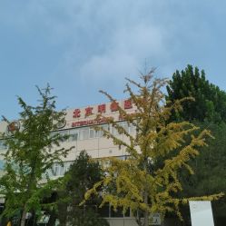 -北京明德医院