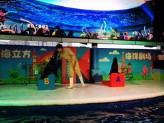 -成都浩海立方海洋公园