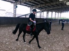 -松声马术俱乐部