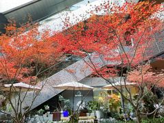 -瑞虹新天地月亮湾