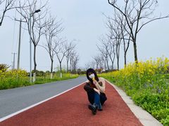 -上海长兴岛郊野公园