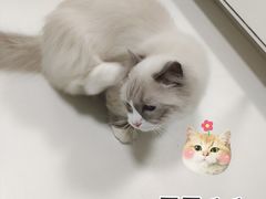 -一间摄影工作室(天安云谷店)