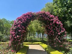 -前滩友城公园-停车场