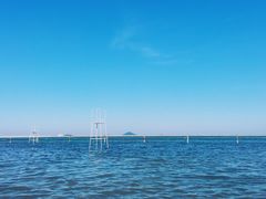 -碧海金沙