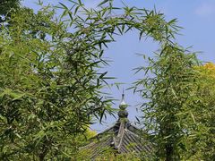 -涂山寺素食餐厅