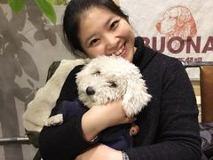 -百好乐宠物友好餐厅(朝外大街店)