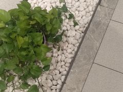 -宝弟羊肉馆(众意路店)