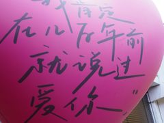 -溪岸路花鸟市场