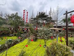 -青城甲(青城山店)